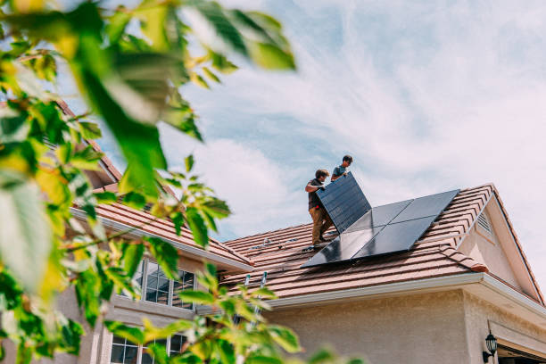 Best Roof Gutter Cleaning  in South Deerfield, MA