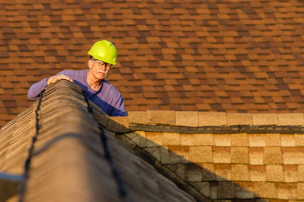 Best Storm Damage Roof Repair  in South Deerfield, MA